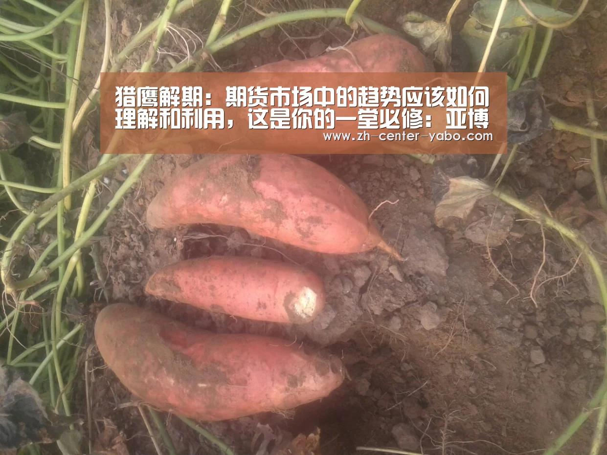 猎鹰解期:期货市场中的趋势应该如何理解和利用,这是你的一堂必修:亚博体育官网(图2) 亚博娱乐