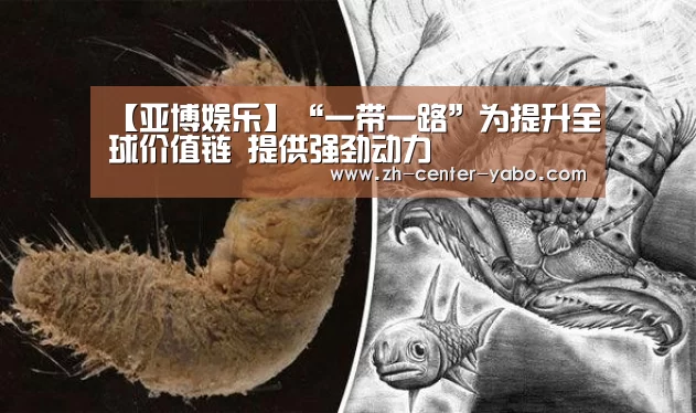 【亚博娱乐】“一带一路”为提升全球价值链 提供强劲动力(图2) 亚博娱乐