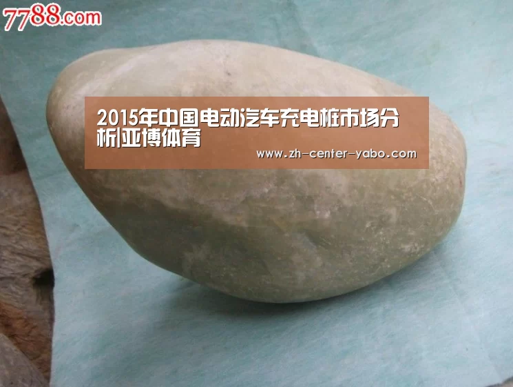 2015年中国电动汽车充电桩市场分析|亚博体育(图2) 亚博体育